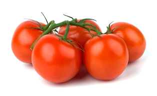 Backyard Tomatoes on the Vine