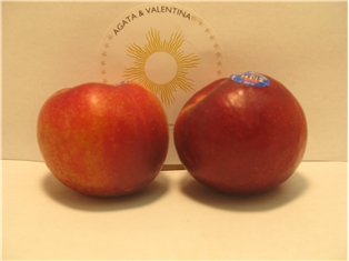 Red Plums