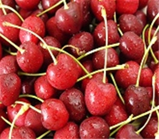 Jumbo Red Cherries