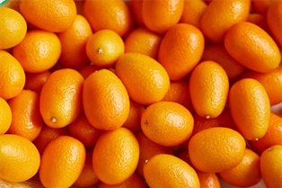 Kumquats