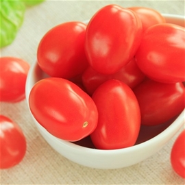 Organic Grape Tomatoes (1pt)