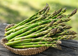 Asparagus Pencil