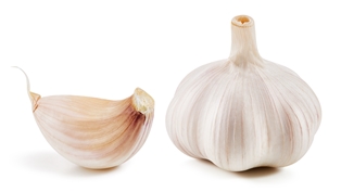 Fresh Garlic Bulbs