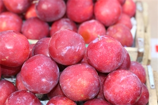 Small Nectarines