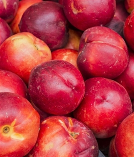 Nectarines Local