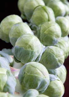 Stalks Brussel Sprouts