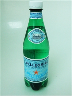 San Pellegrino Water (500ml)