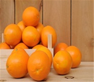 Heirloom Navel Oranges