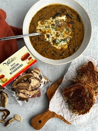 Vantia Dried Porcini Muhrooms 0.53oz