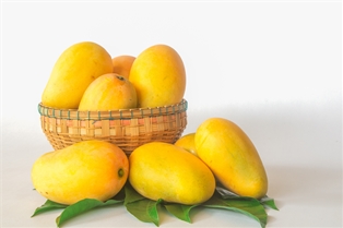 Francis Mangoes
