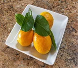 Meyer Lemons with Stem Leaves