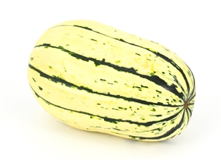 Delicata Squash