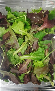Spring Mix