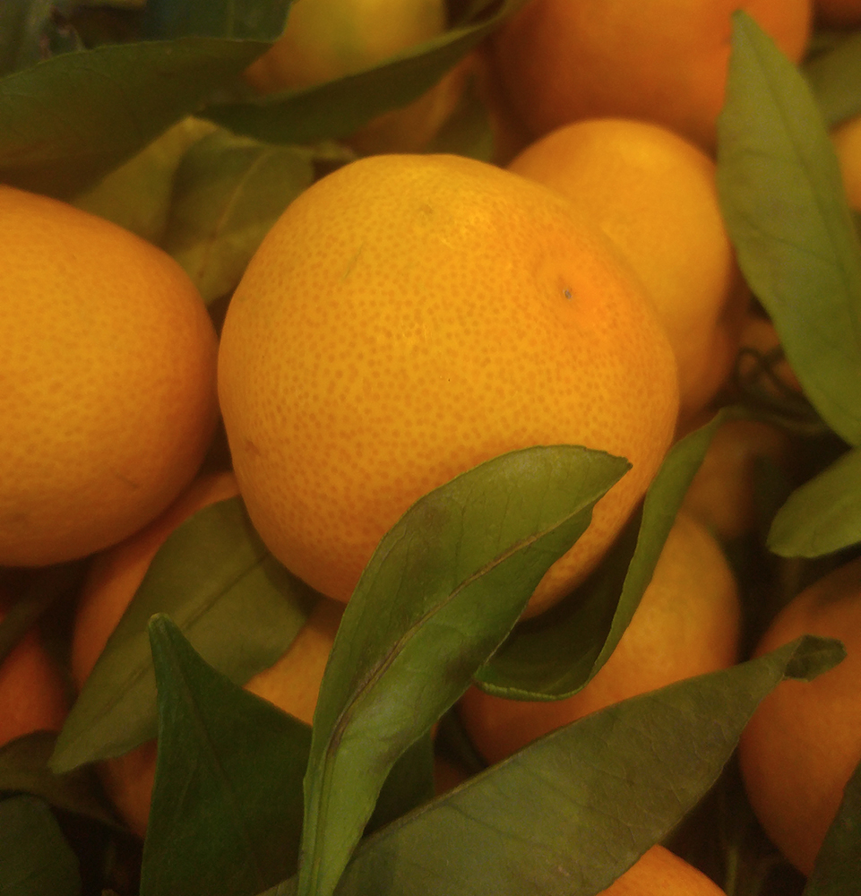 Mandarin with Stem