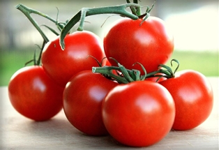 Campari Tomatoes (16oz.)