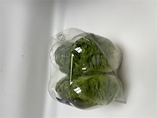 Little Gem Lettuce