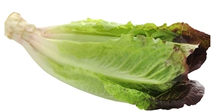 Red and Green Baby Romaine (5oz)