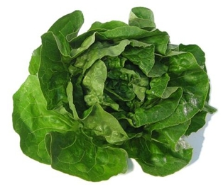 A&amp;V Butter Lettuce Leaves (5oz)