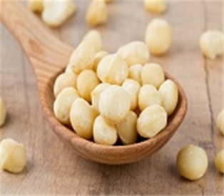 Macadamia Nuts Raw 7Oz