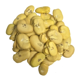 Peeled Fava Beans, Fren (15 oz.)