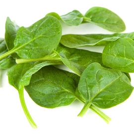 Baby Spinach (10oz)
