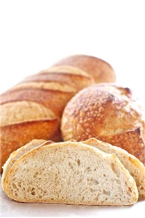 Orwasher&#39;s Rustic