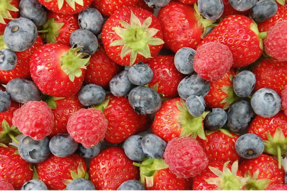 Organic mix berry cup (10oz)