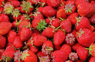 Harry&#39;s Berries