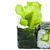 Organic Avocado Cucumber Roll 5PC