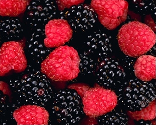 Organic Mixed Berries (12 oz.)