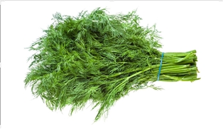 A&amp;V Fresh Dill (1oz)