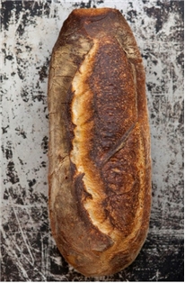 Pane Pugliese