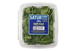 Satur Farms Baby Kale 5oz