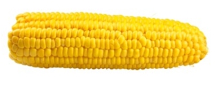 Corn Organic (4pk)