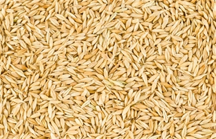 A&amp;V Barley 28 OZ
