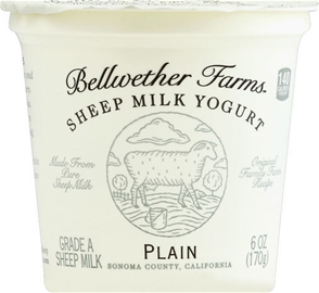 Bellwether Farms Sheep Milk Yogurt Plain