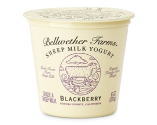Bellwether Farms Sheep Milk Yogurt Blackberry 6oz