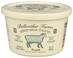 Bellwether Plain