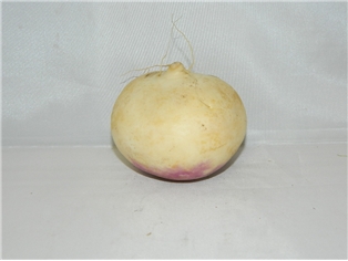 Turnips