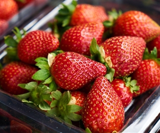 Strawberries Rose Driscolls
