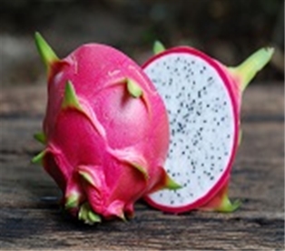 Dragon Fruit