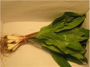Ramps