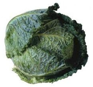 Savoy Cabbage