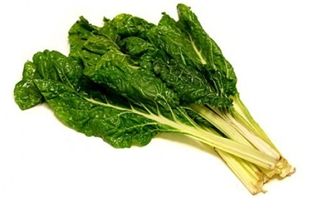 Green Swiss Chard