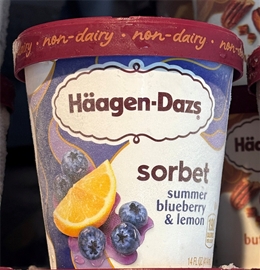 Haagen Dazs Summer Blueberry &amp; Lemon Sorbet 14oz