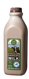 Hudson Valley Chocolate Milk 14oz