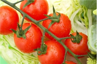 Cherita Cherry Tomatoes On The Vine
