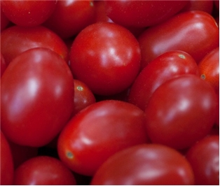 Cherub Tomatoes (1pt)