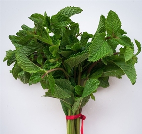 Soli Organic Mint .5oz