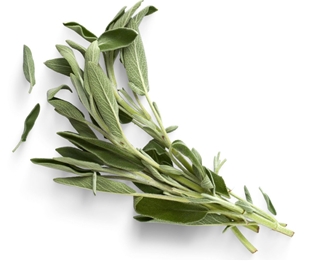 Soli Organic Sage .5oz